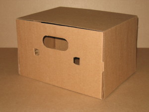 Shipping package 